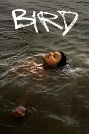 Paukštis Online