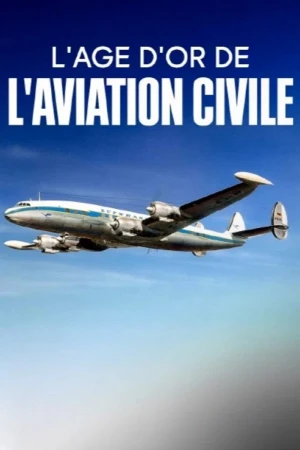 Skrendame kartu. Aviacijos aukso amžius Online